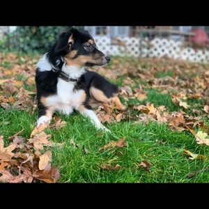 Meet your Posher, Taylor